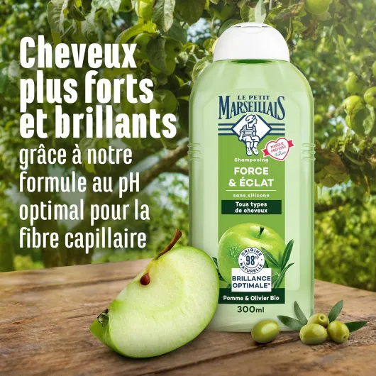 81vk2PgiGOL._AC_SL1500_