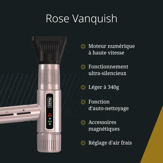 Vanquish - Sèche-cheveux professionnel - Séchage rapide - Avec embouts magnétiques et diffuseur - Or rose